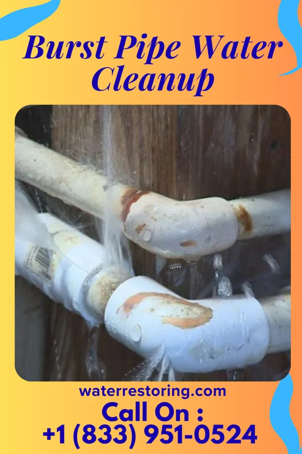 Burst Pipe Water Cleanup in Brashear, MO