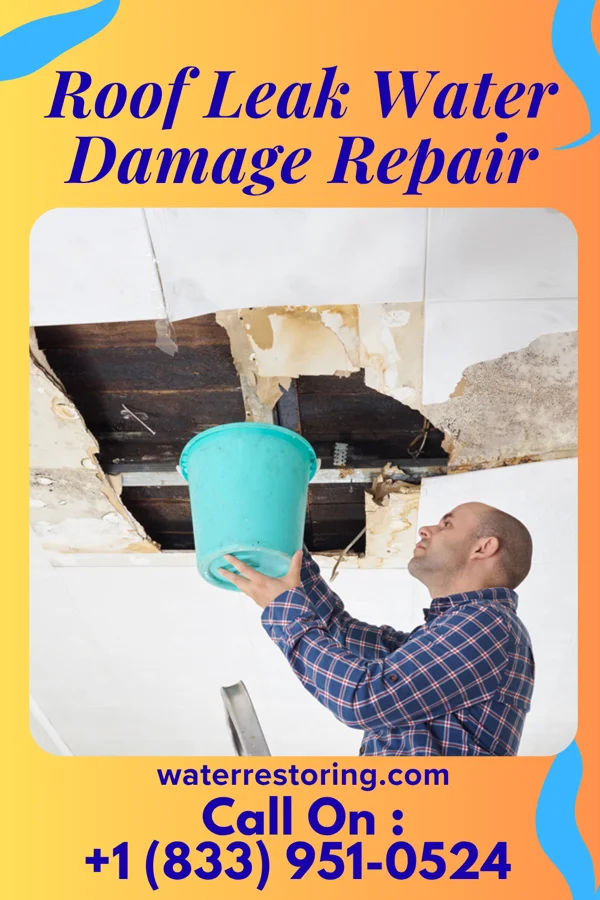 Roof Leak Water Damage Repair in Brashear, MO